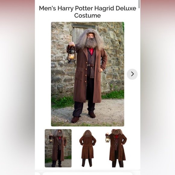 Hagrid costume and beard/wig - Picture 1 of 3